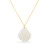 Statement Resin Shell Long Necklace